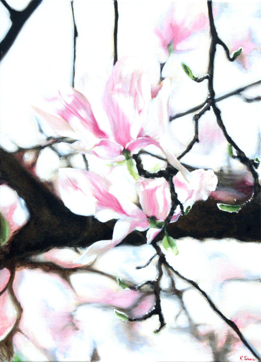 Magnolia, Overexposed: Sight Exercise for Oil Painting