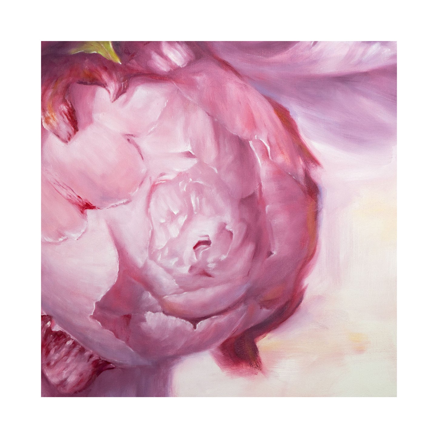 Bouquet of Peonies, Detail - Limited Edition Botanical Print on Fine Art Paper