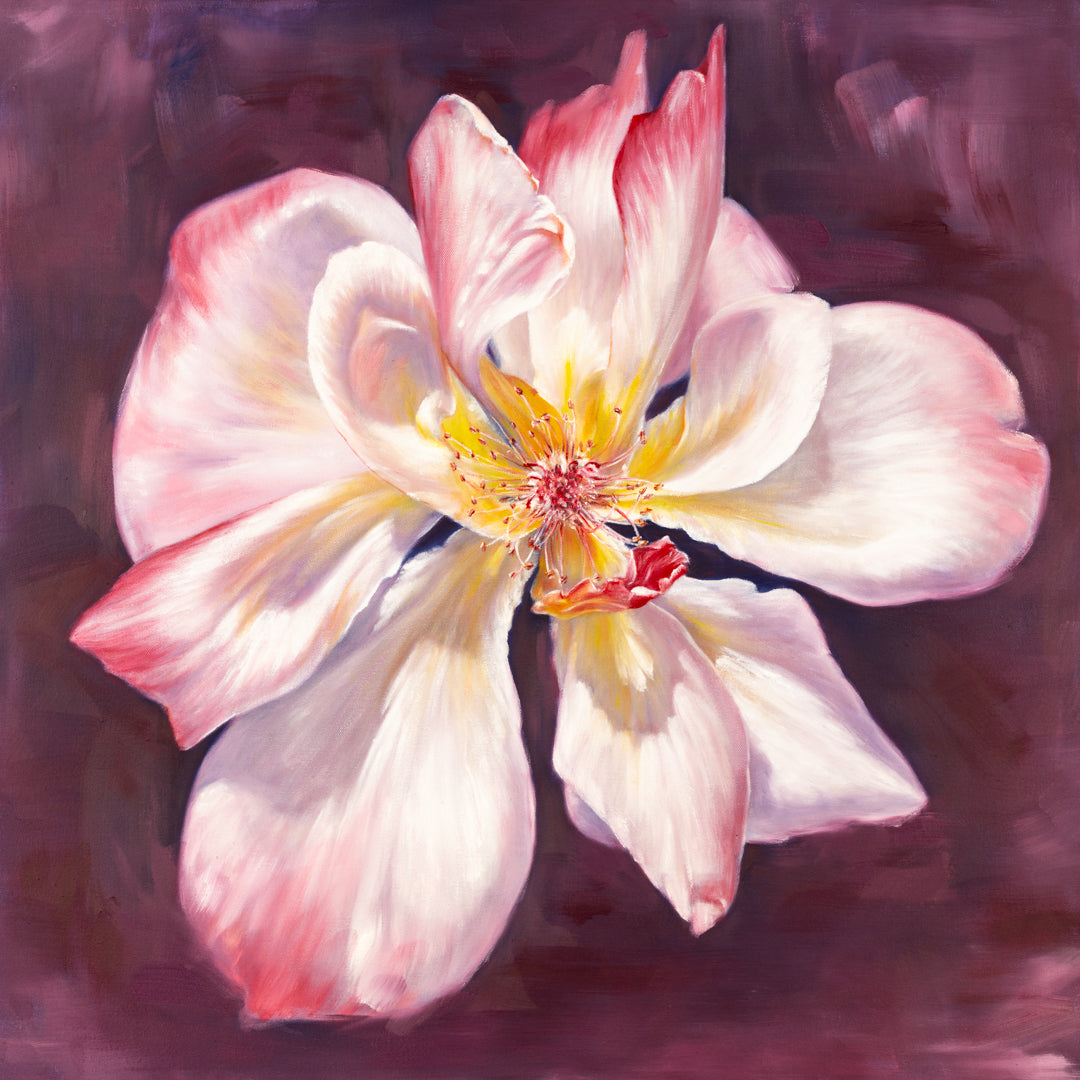 Fading Garden Rose - Botanical Print on Fine Art Paper