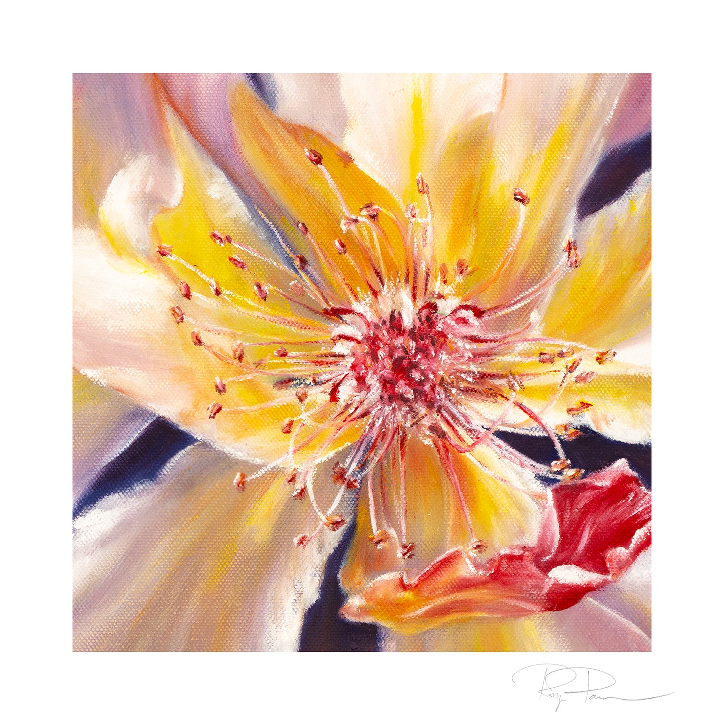Closeups 2 - Set of 4 Botanical Prints on Fine Art Paper