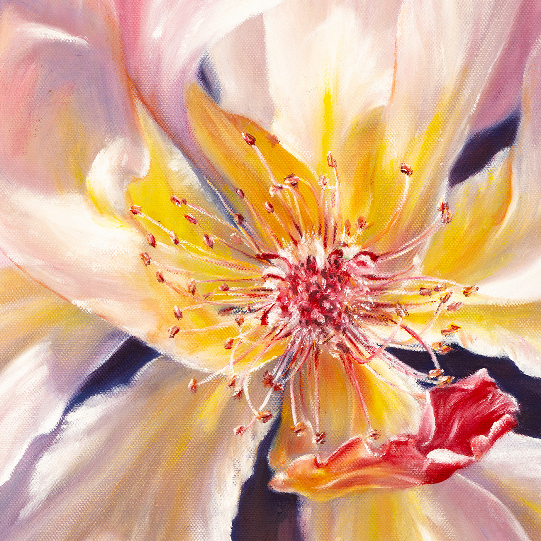 Fading Garden Rose - Original Oil Painting by Robyn Palescandolo