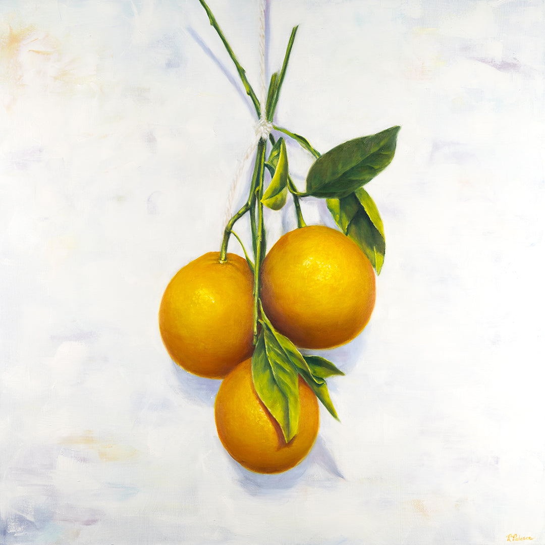 Garden Oranges - Botanical Print on Fine Art Canvas