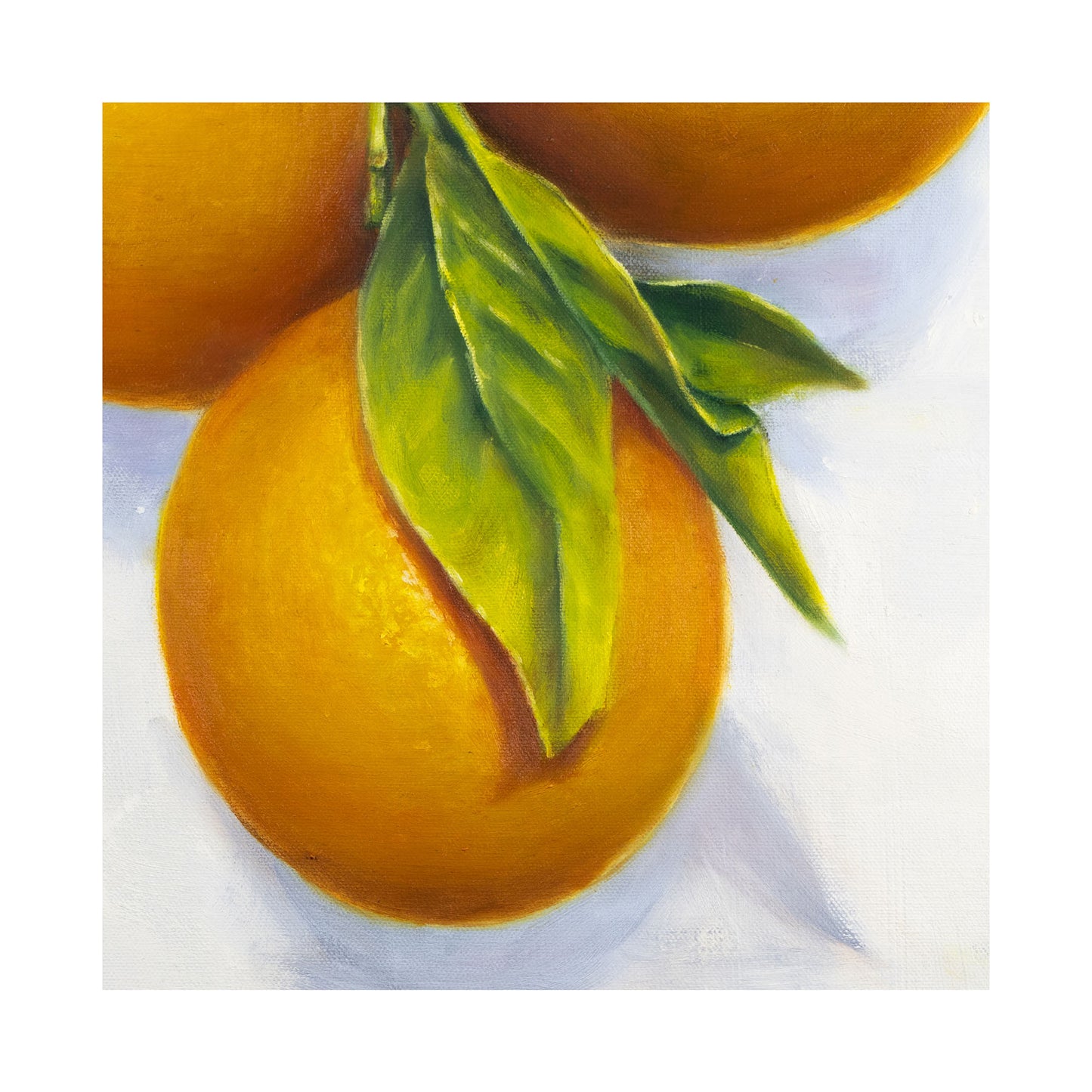 Garden Oranges, Detail - Limited Edition Botanical Print on Fine Art Paper