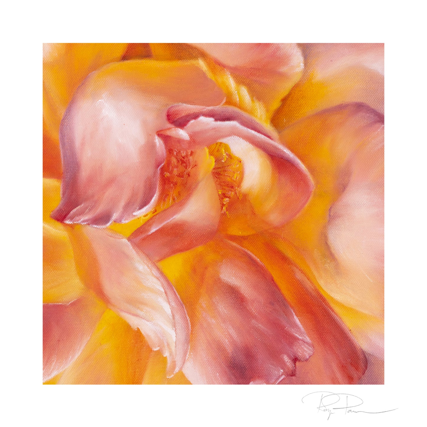 Closeups 2 - Set of 4 Botanical Prints on Fine Art Paper