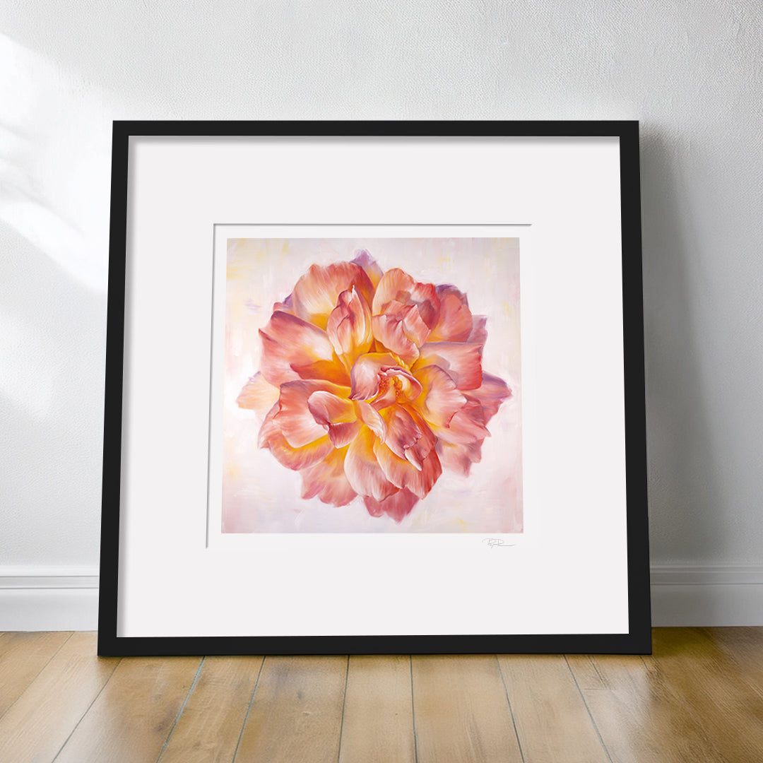 Peach Garden Rose - Botanical Print on Fine Art Paper