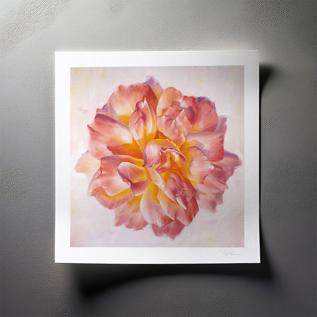 Peach Garden Rose - Botanical Print on Fine Art Paper