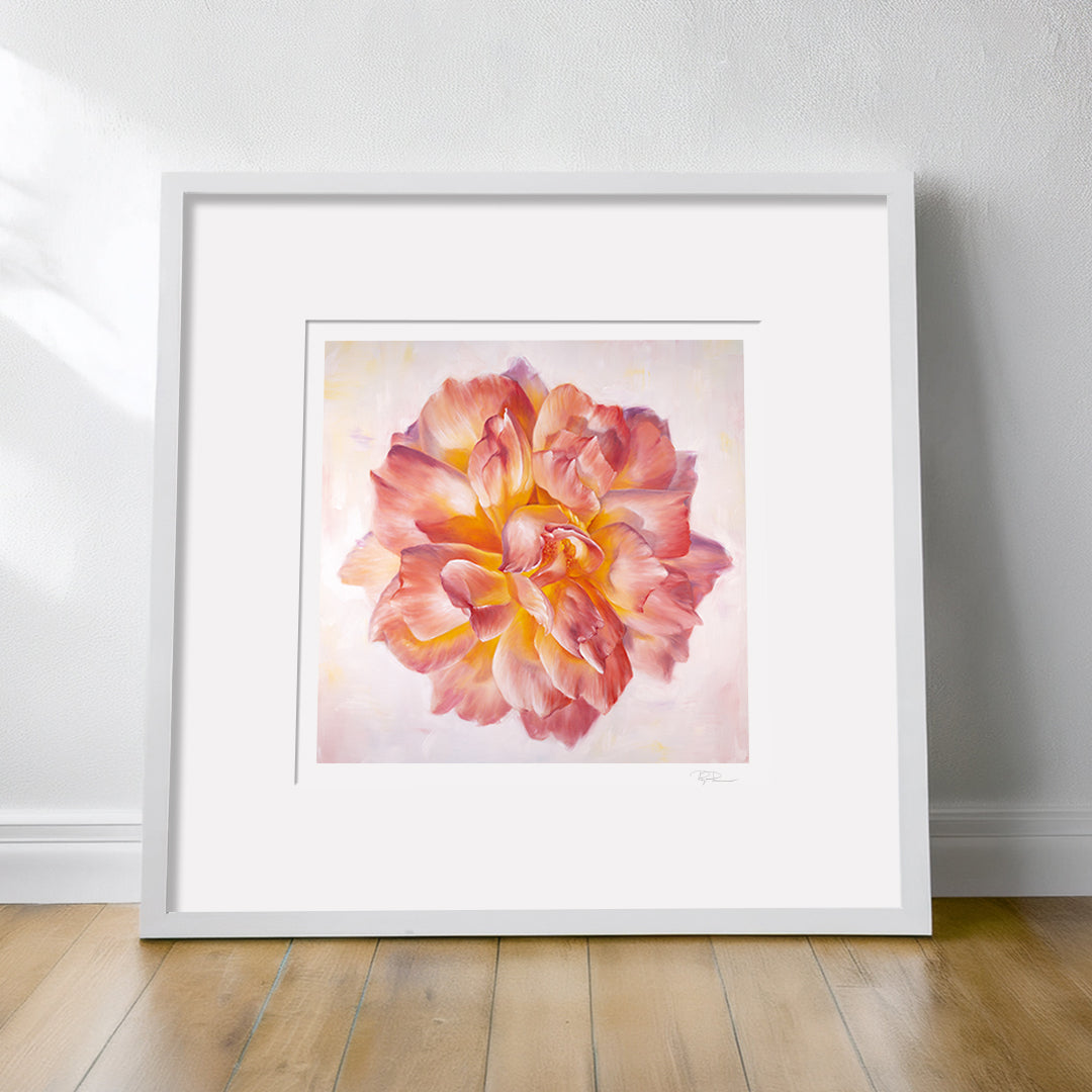 Peach Garden Rose - Botanical Print on Fine Art Paper