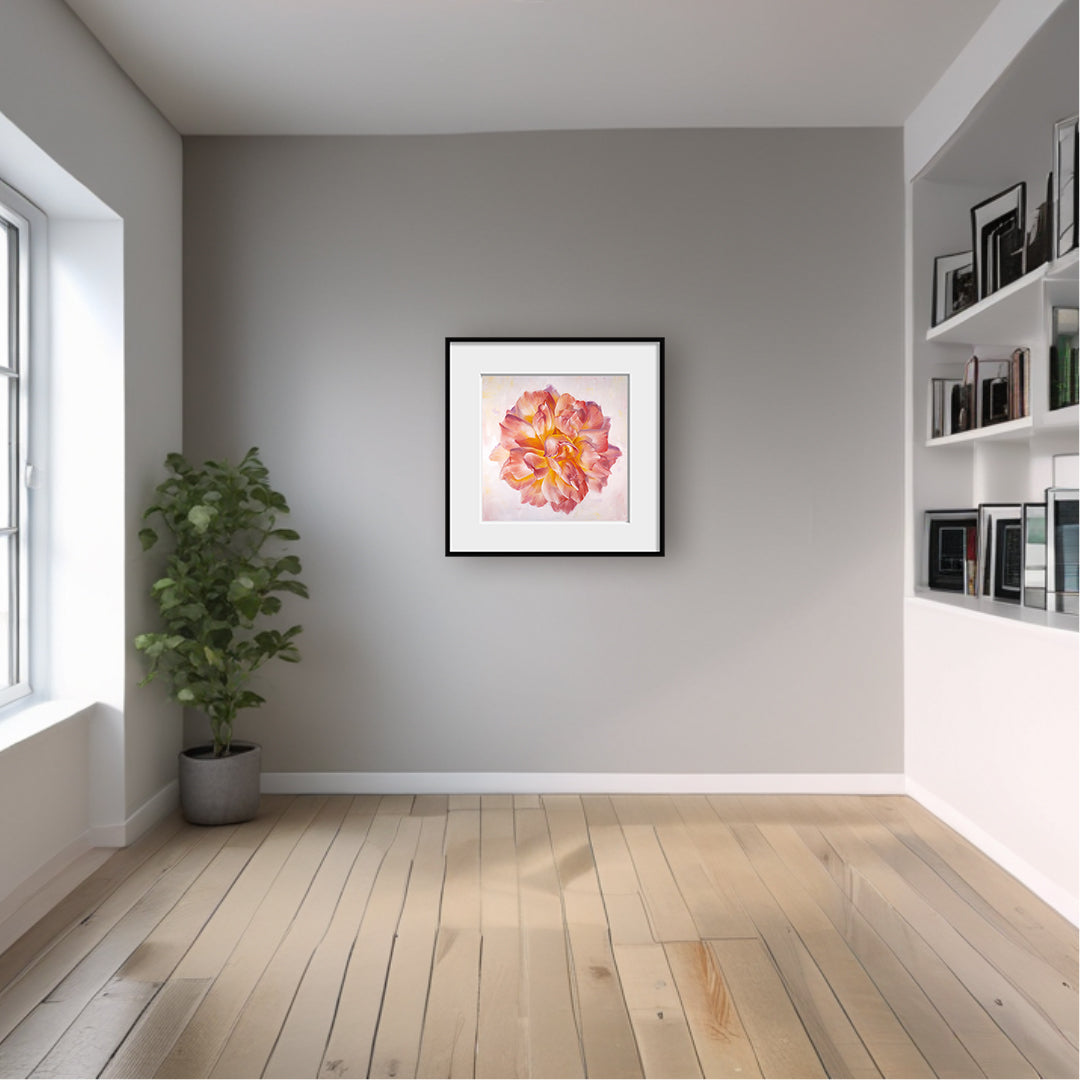 Peach Garden Rose - Botanical Print on Fine Art Paper