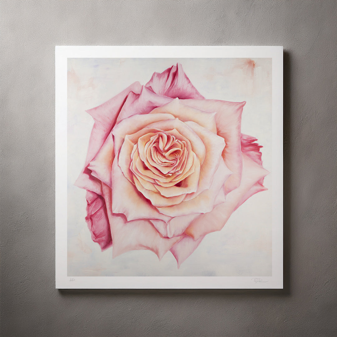 Pink Heirloom Rose - Artist Proof Botanical Print on Fine Art Paper