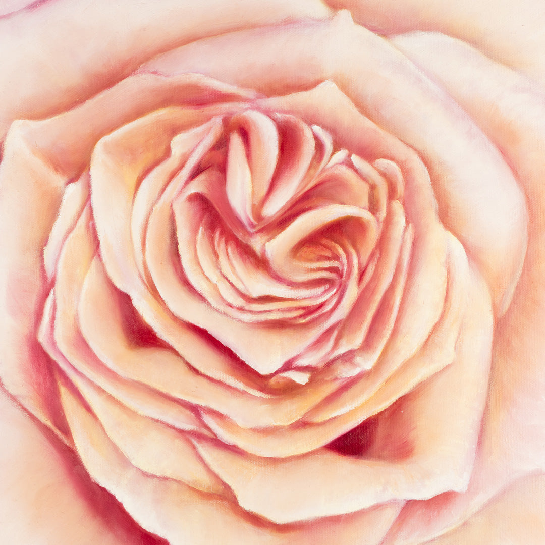 Pink Heirloom Rose - Original Oil Painting by Robyn Palescandolo
