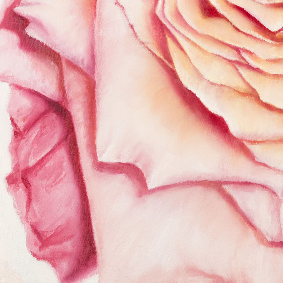 Pink Heirloom Rose - Original Oil Painting by Robyn Palescandolo