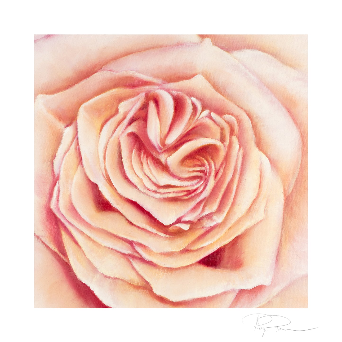 Closeups - Set of 4 Botanical Prints on Fine Art Paper