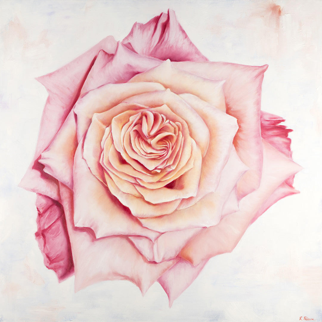 Pink Heirloom Rose - Botanical Print on Fine Art Paper