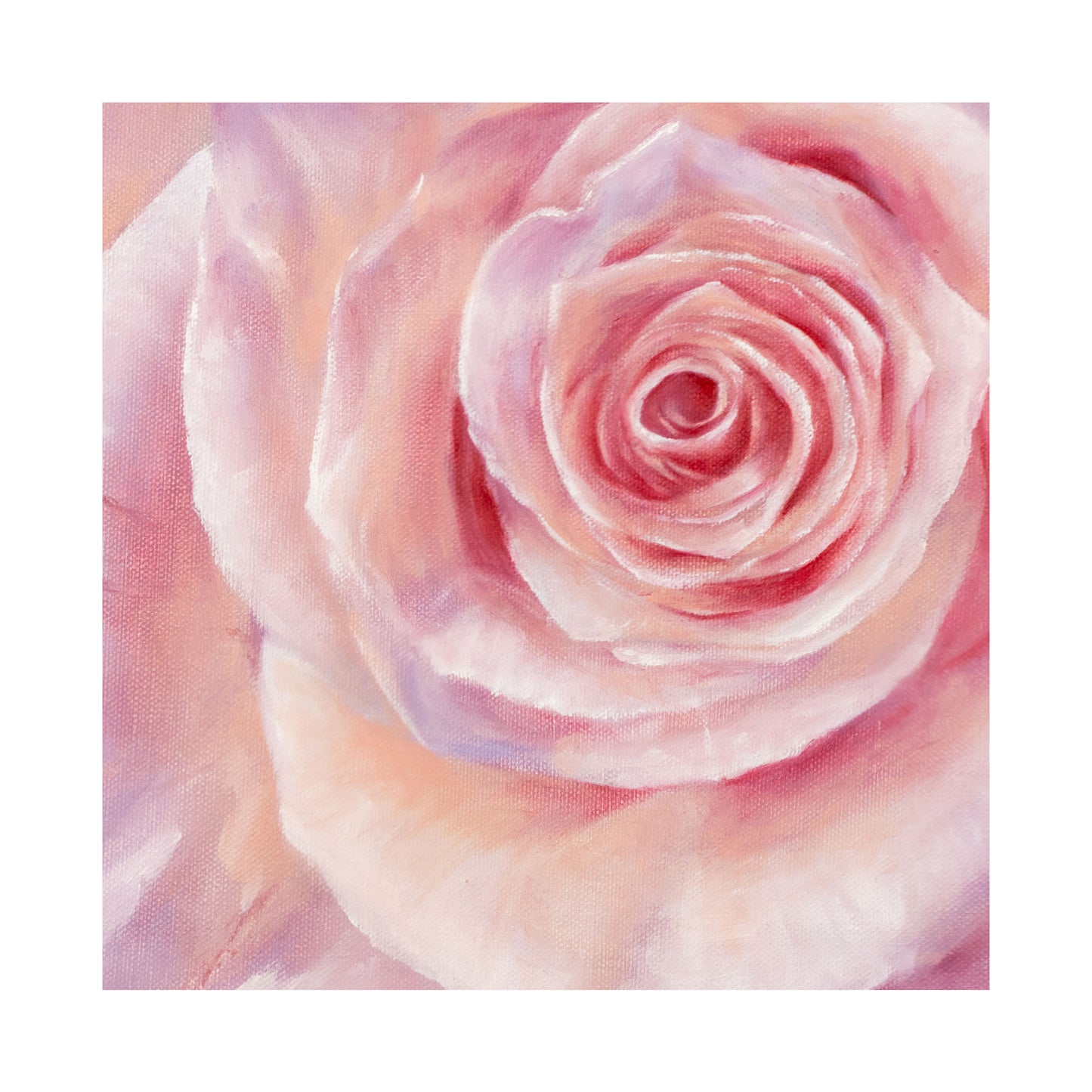 Pink Rose in a Field of Blue, Detail - Limited Edition Botanical Print on Fine Art Paper