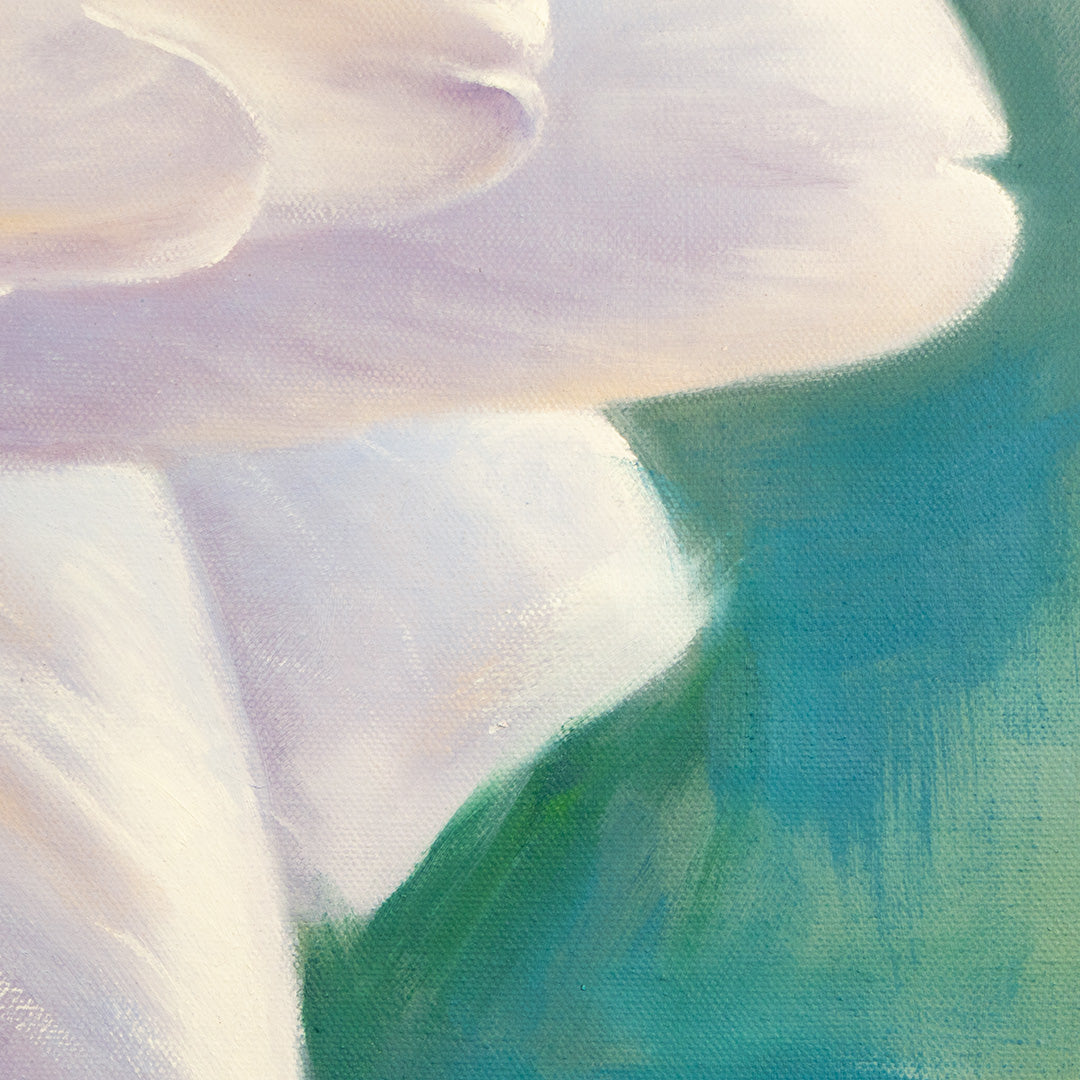 White Garden Rose - Original Oil Painting by Robyn Palescandolo