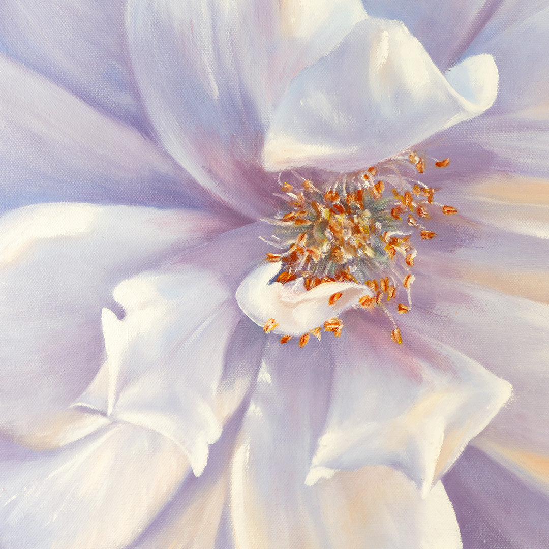 White Garden Rose - Original Oil Painting by Robyn Palescandolo