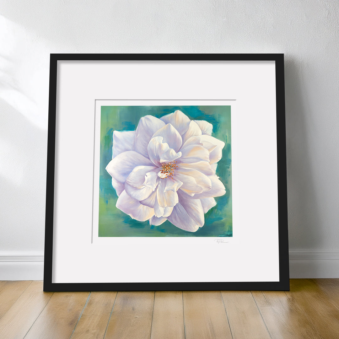 White Garden Rose - Botanical Print on Fine Art Paper