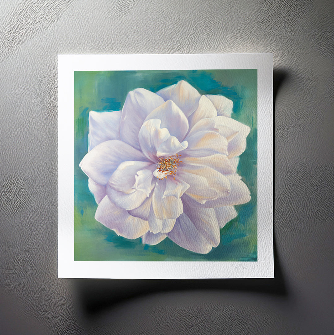 White Garden Rose - Botanical Print on Fine Art Paper