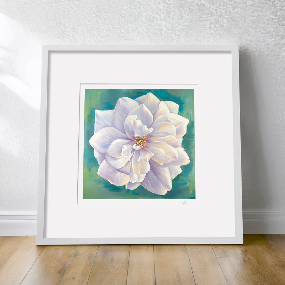 White Garden Rose - Botanical Print on Fine Art Paper