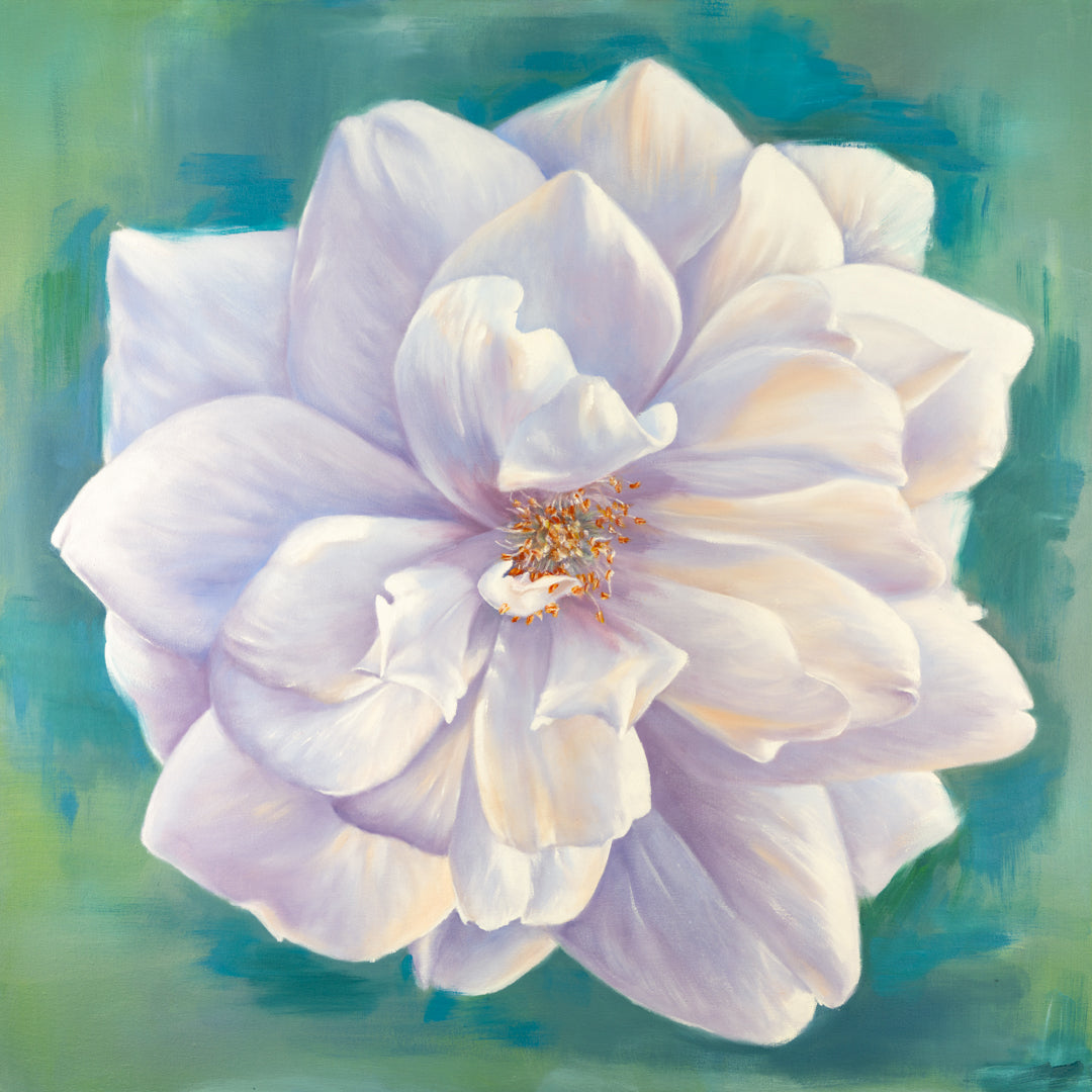 White Garden Rose - Botanical Print on Fine Art Paper