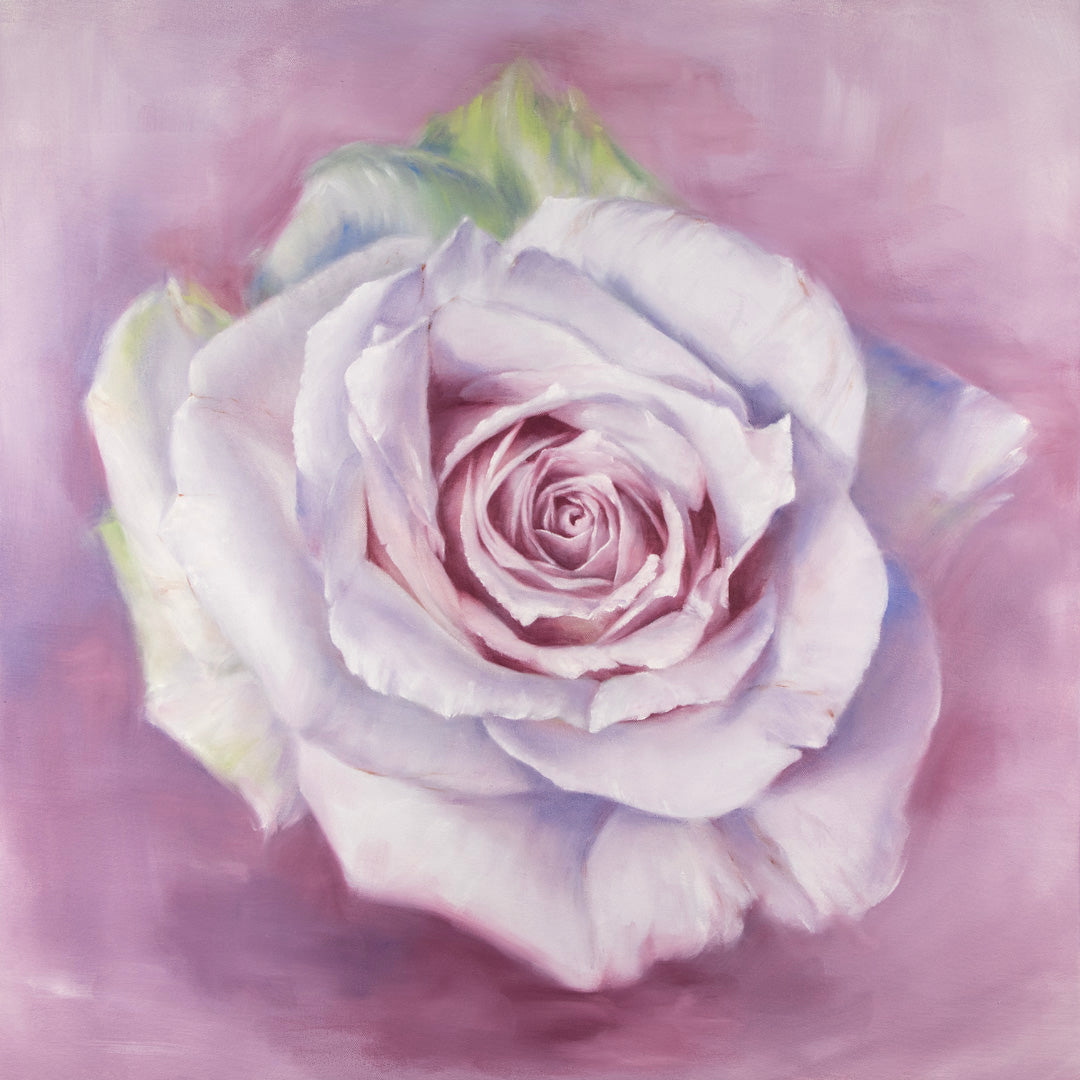 White Rose in a Lavender Haze - Botanical Print on Fine Art Paper