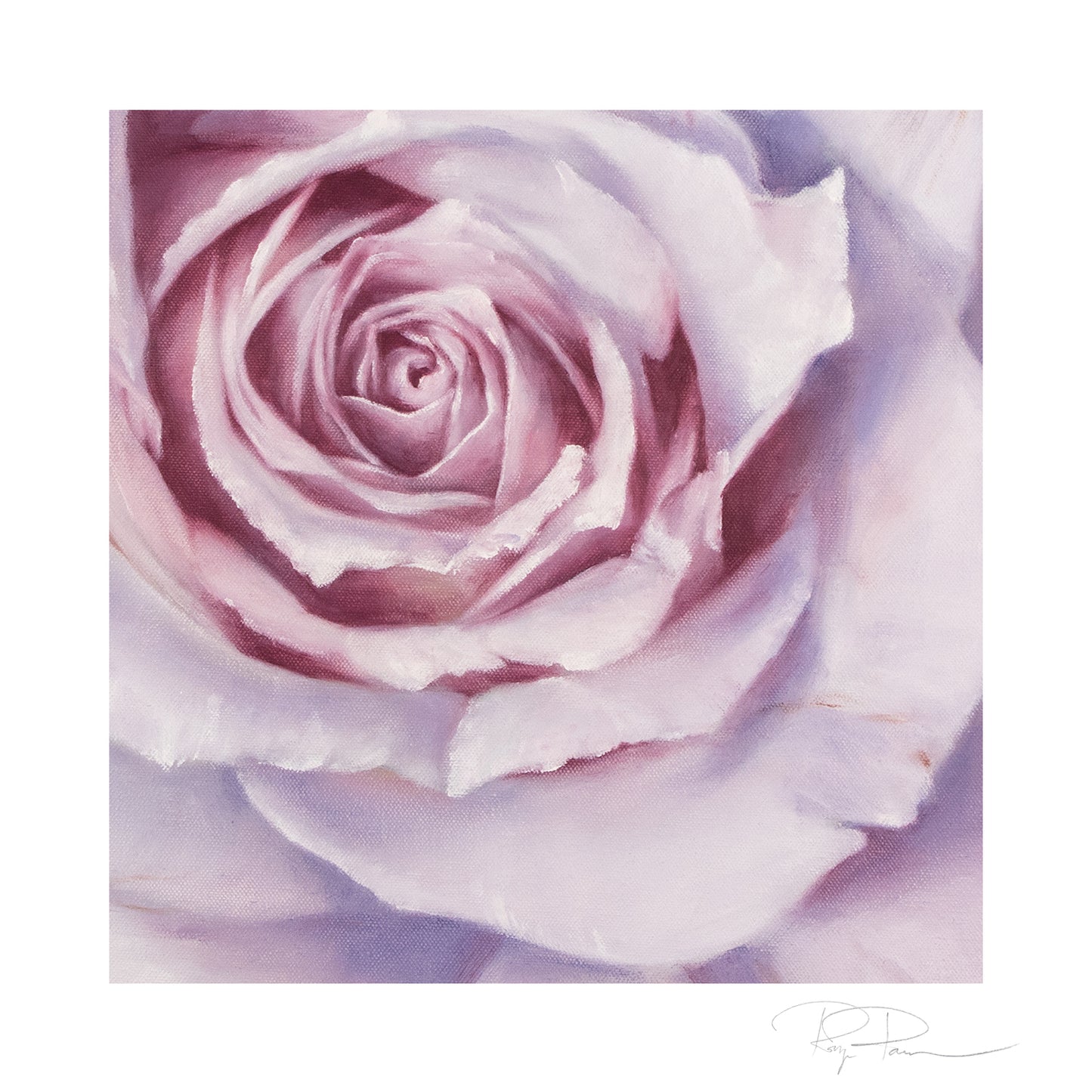 Closeups 2 - Set of 4 Botanical Prints on Fine Art Paper