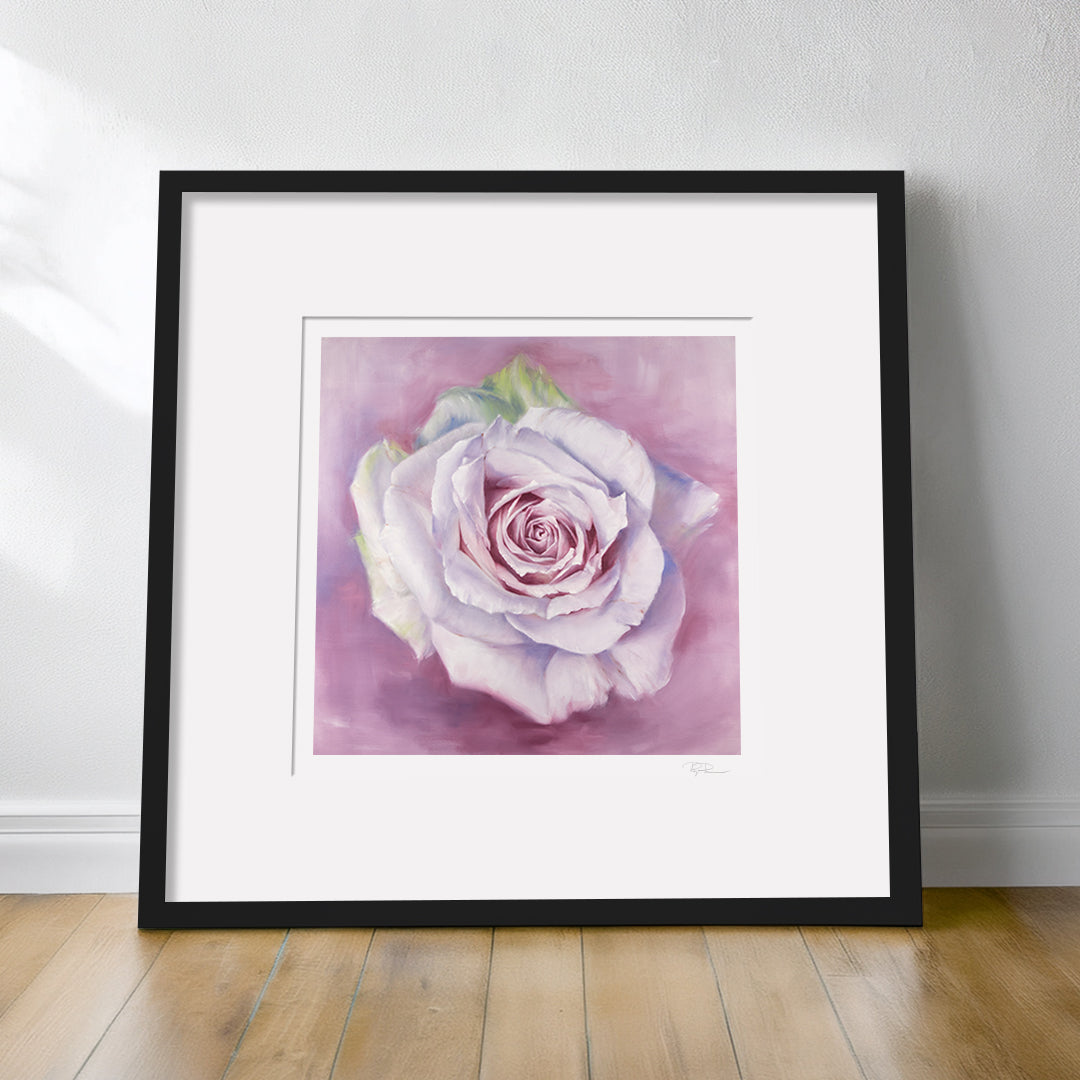 White Rose in a Lavender Haze - Botanical Print on Fine Art Paper