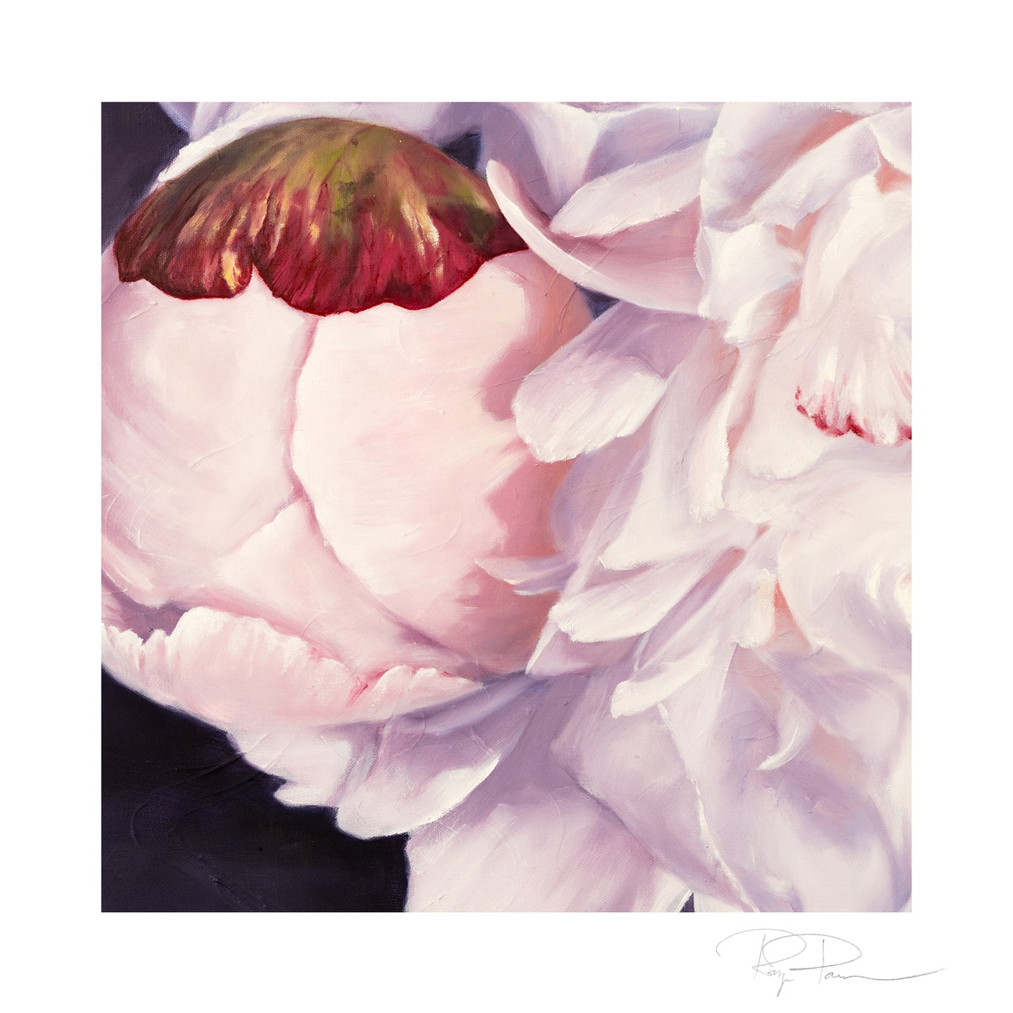 Closeups - Set of 4 Botanical Prints on Fine Art Paper