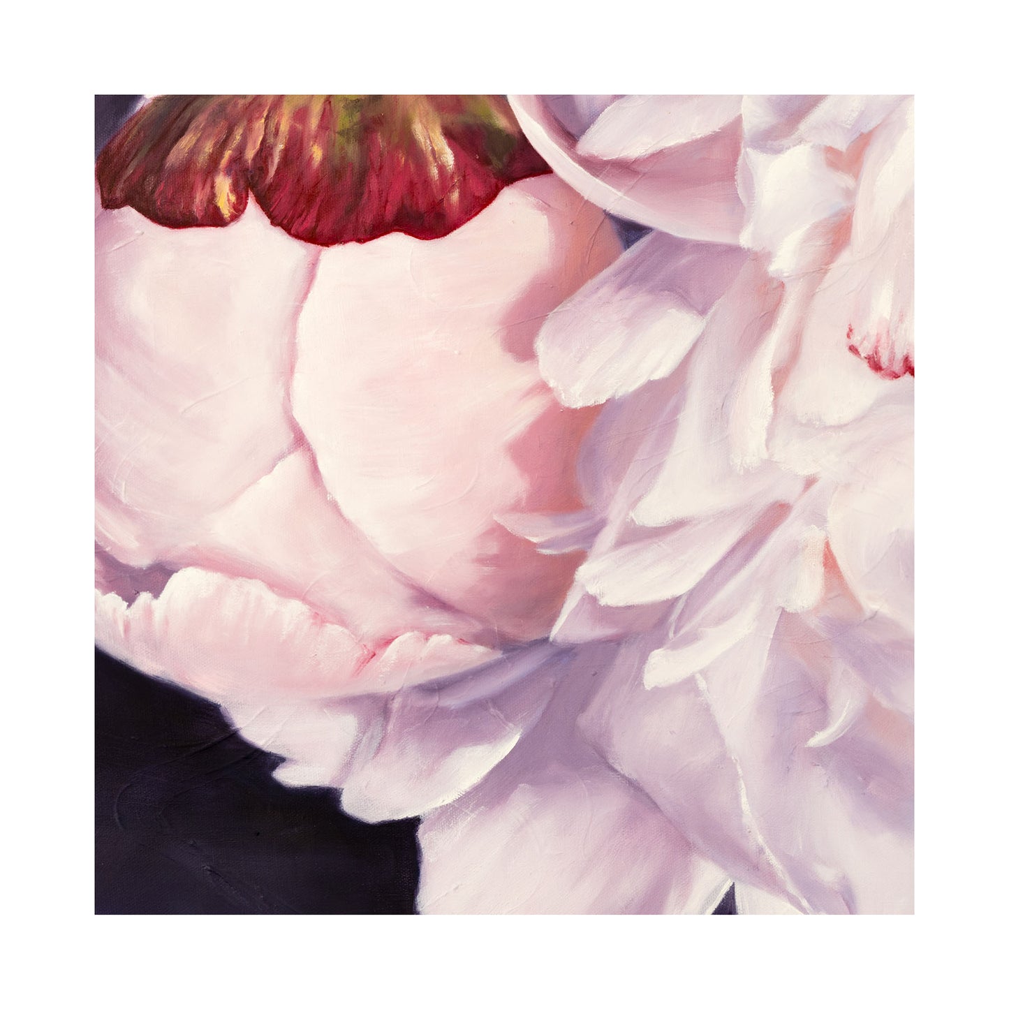 Bouquet: White Winter Peonies, Detail - Limited Edition Botanical Print on Fine Art Paper