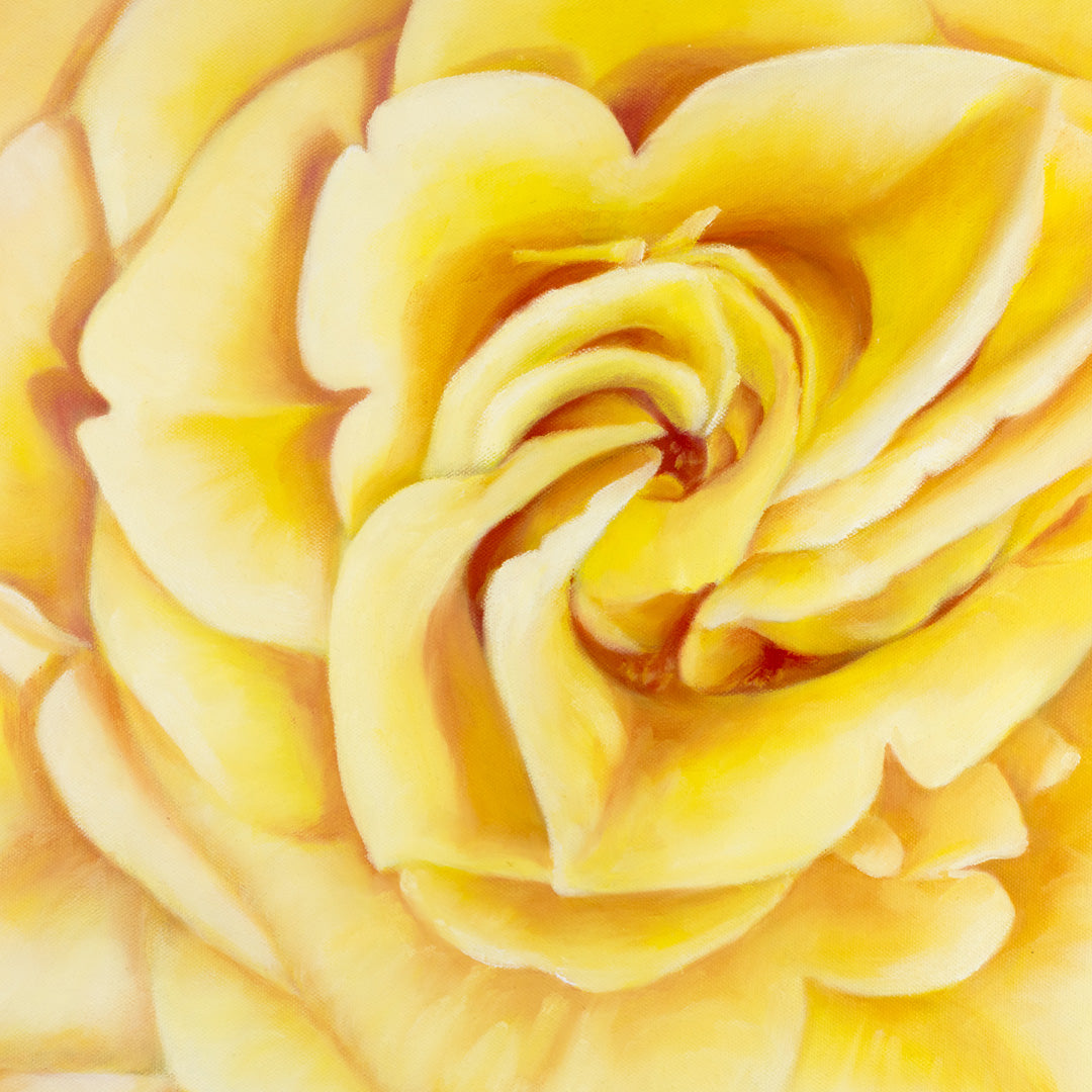Yellow Heirloom Rose - Original Oil Painting by Robyn Palescandolo