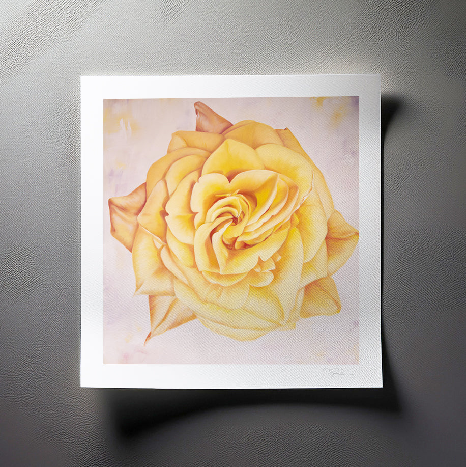 Yellow Heirloom Rose - Botanical Print on Fine Art Paper