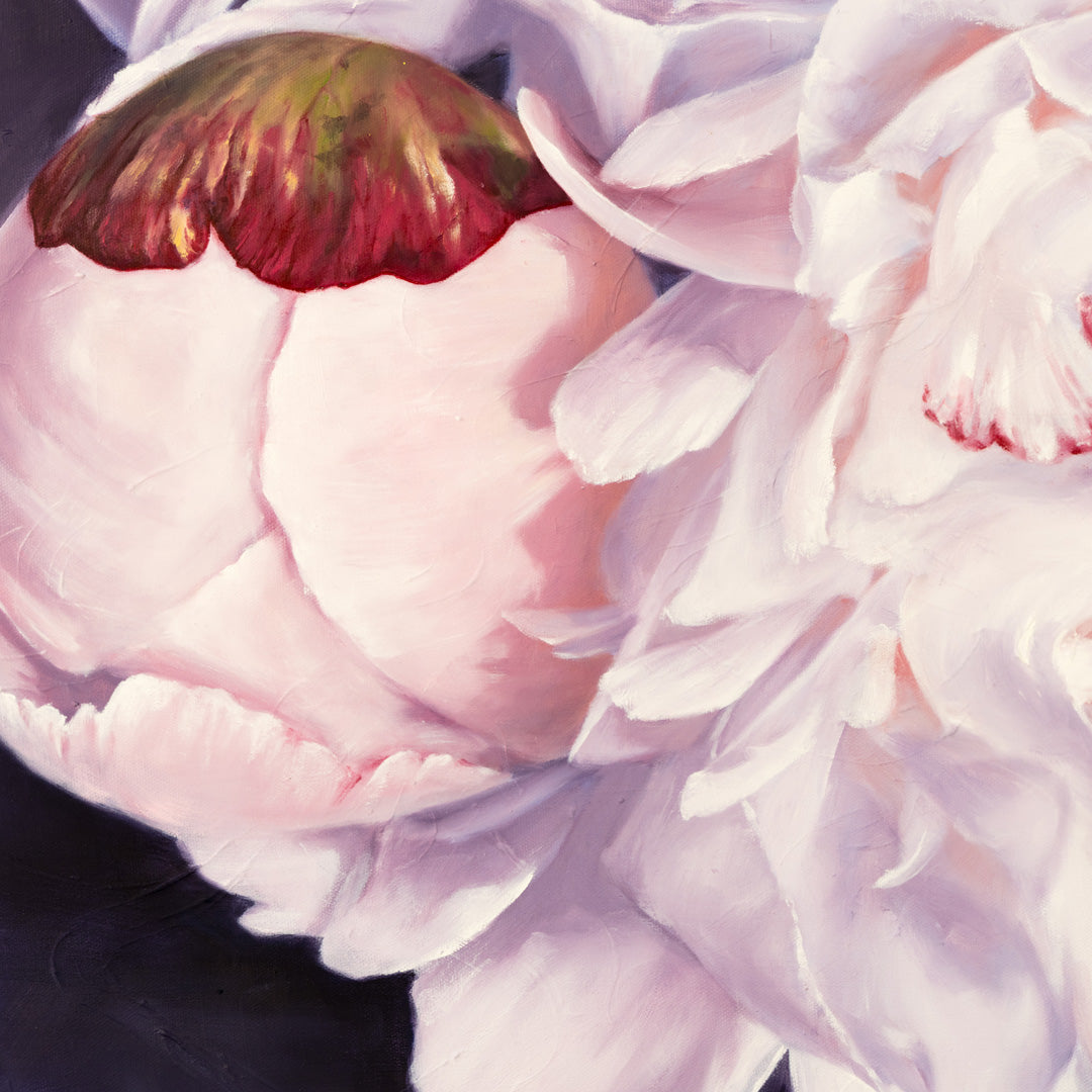 Original Oil Paintings