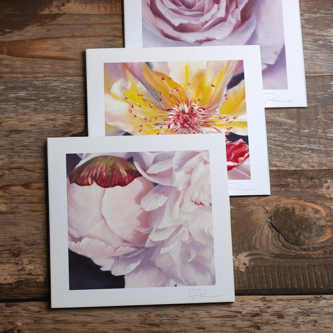 Postcards from the Studio