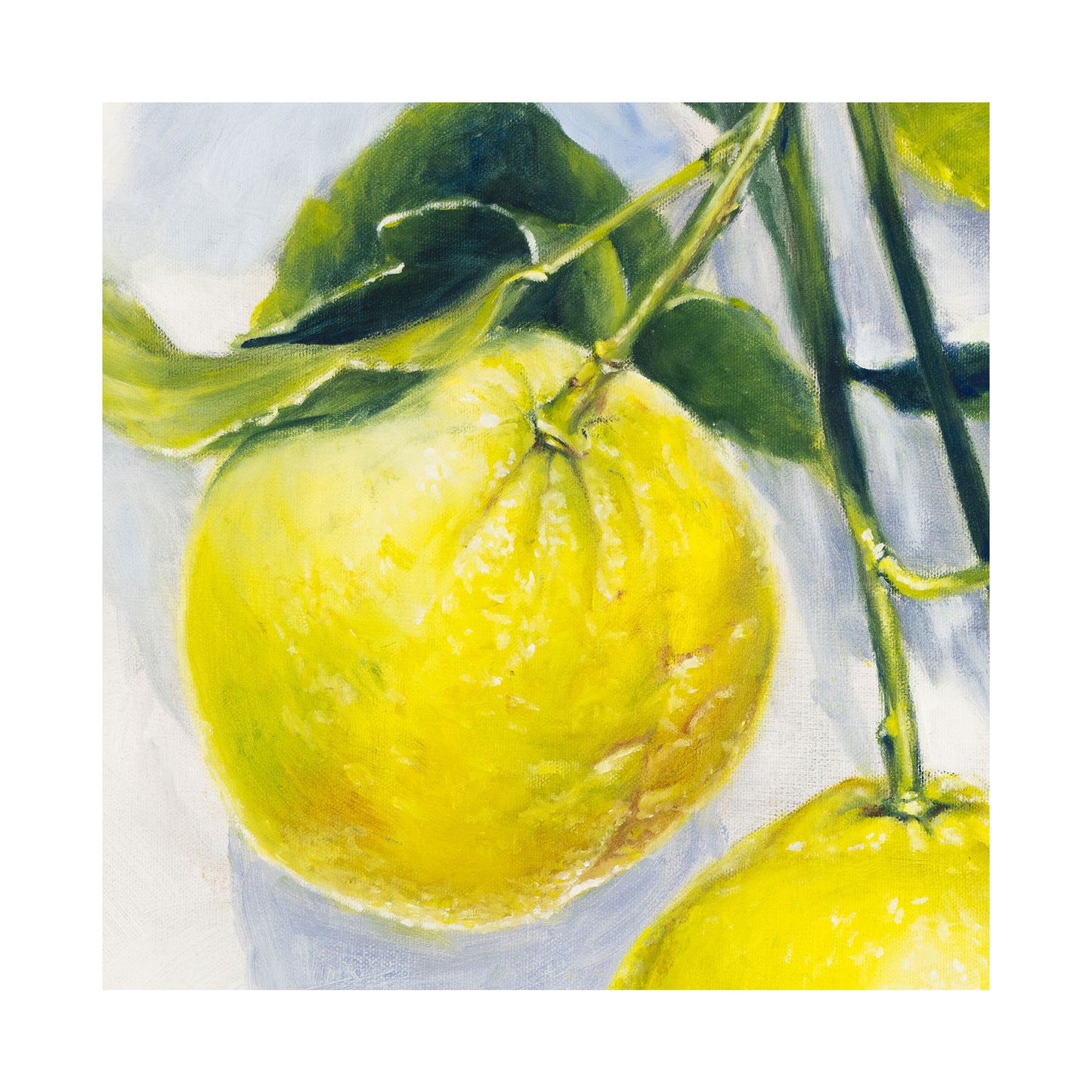 Garden Lemons, Detail - Limited Edition Botanical Print on Fine Art Paper