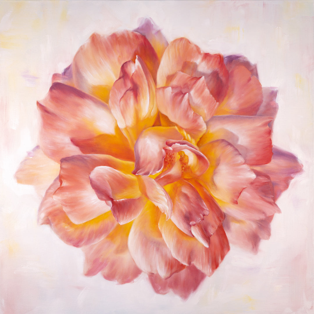 Peach Garden Rose - Botanical Print on Fine Art Paper