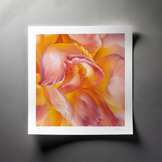 Peach Garden Rose, Detail - Limited Edition Botanical Print on Fine Art Paper