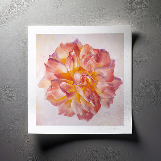 Peach Garden Rose - Botanical Print on Fine Art Paper