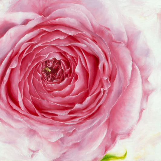 Pink Bundle of Rose - Original Oil Painting by Robyn Palescandolo