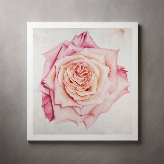 Pink Heirloom Rose - Artist Proof Botanical Print on Fine Art Paper