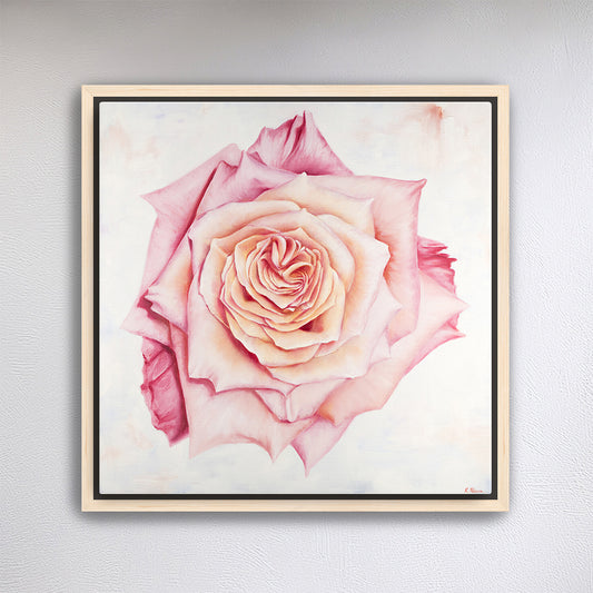 Pink Heirloom Rose - Botanical Print on Fine Art Canvas