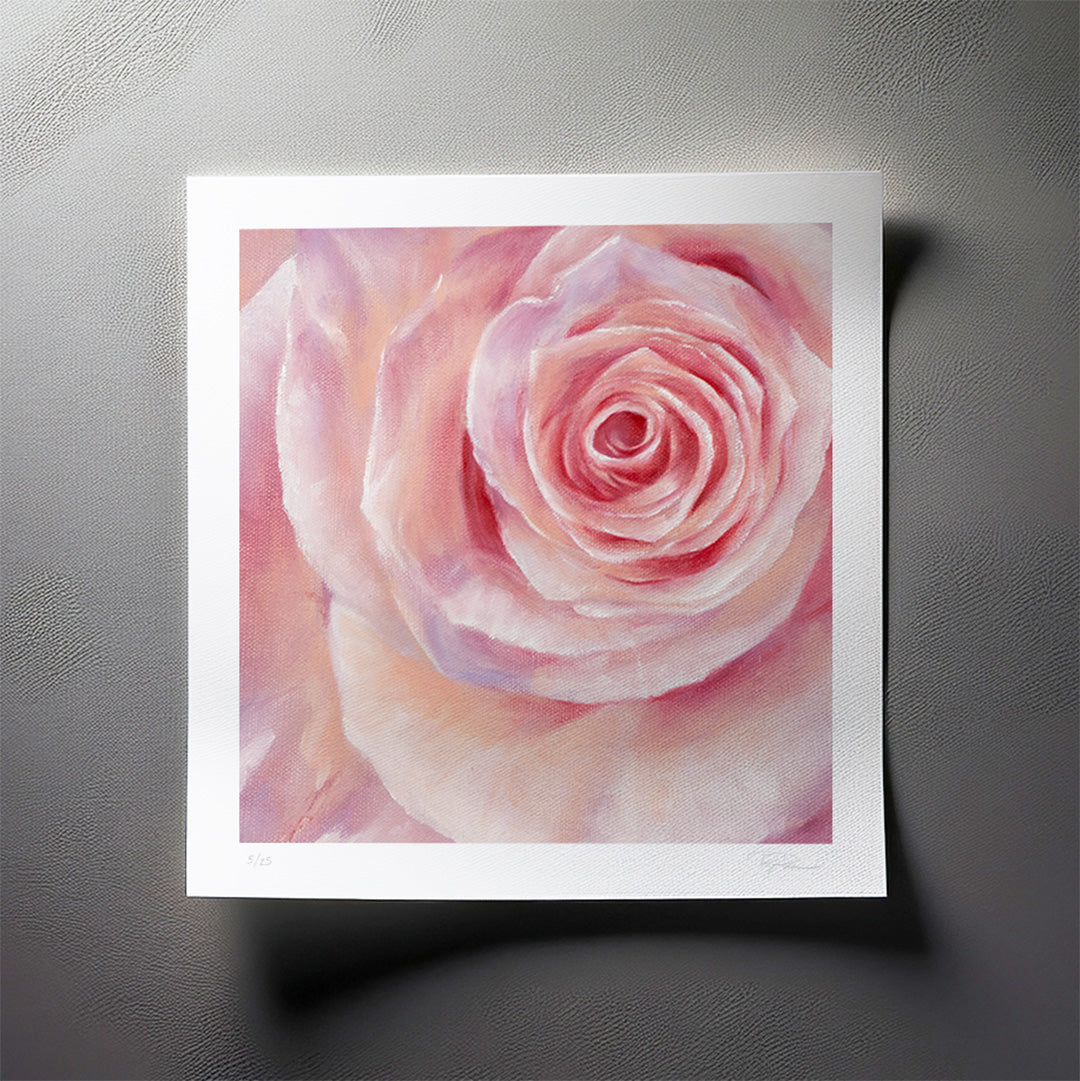 Pink Rose in a Field of Blue, Detail - Limited Edition Botanical Print on Fine Art Paper