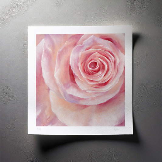 Pink Rose in a Field of Blue, Detail - Limited Edition Botanical Print on Fine Art Paper