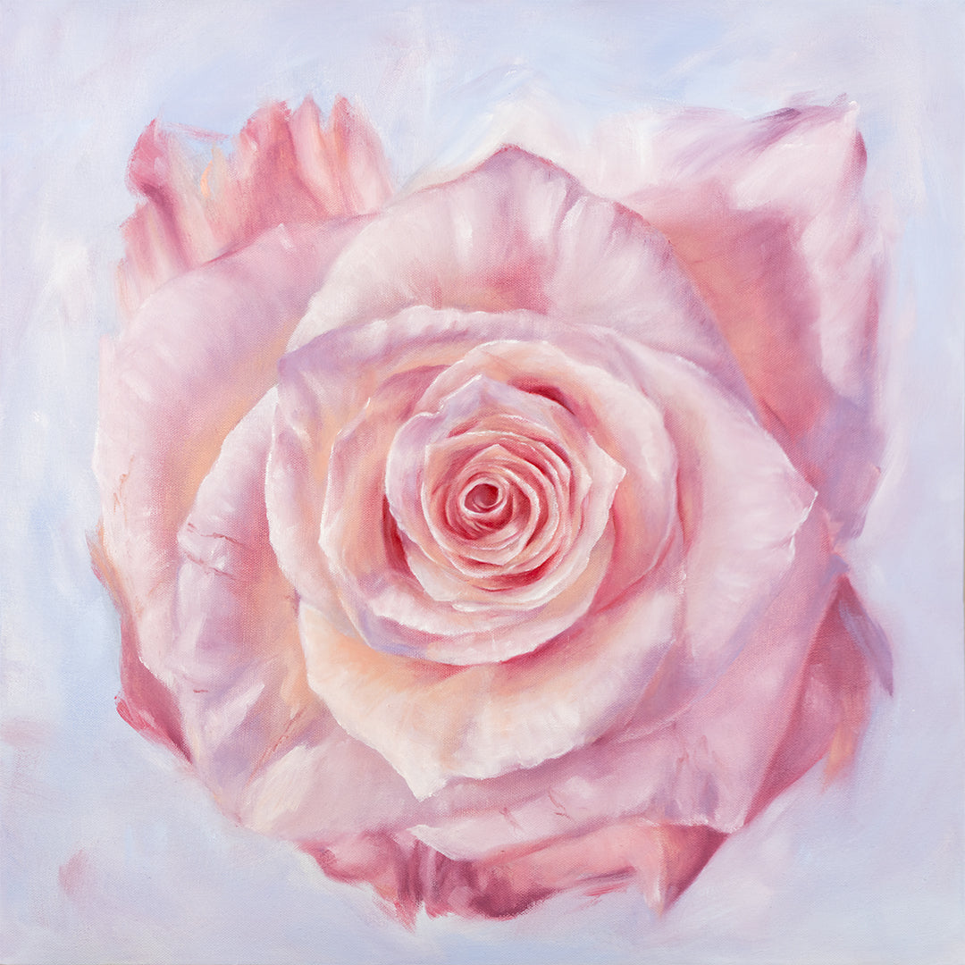 Pink Rose in a Field of Blue - Botanical Print on Fine Art Paper