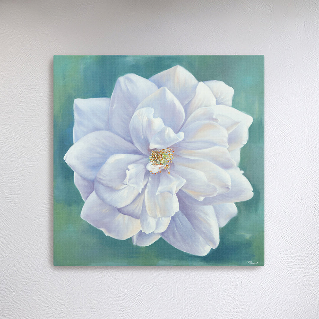 White Garden Rose - Botanical Print on Fine Art Canvas