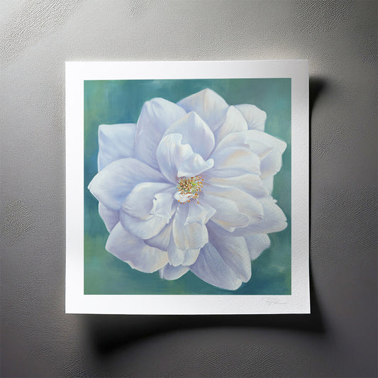 White Garden Rose - Botanical Print on Fine Art Paper