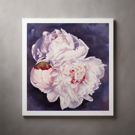 Bouquet: White Winter Peonies - Artist Proof Botanical Print on Fine Art Paper