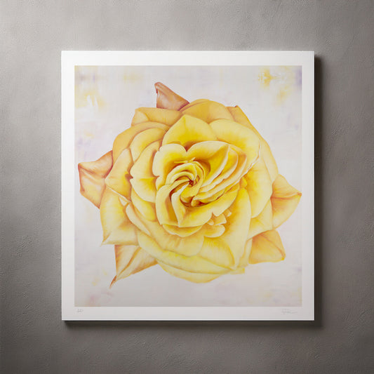 Yellow Heirloom Rose - Artist Proof Botanical Print on Fine Art Paper