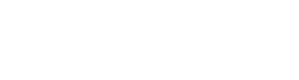 R Palesca Fine Art